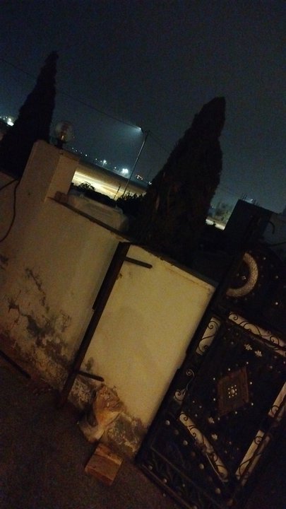 مشاركاتي في أنت الراصد