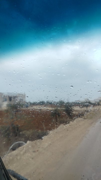 مشاركاتي في أنت الراصد