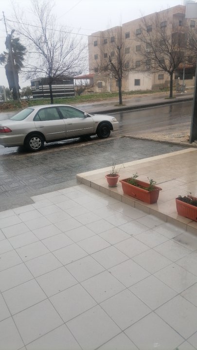 مشاركاتي في أنت الراصد