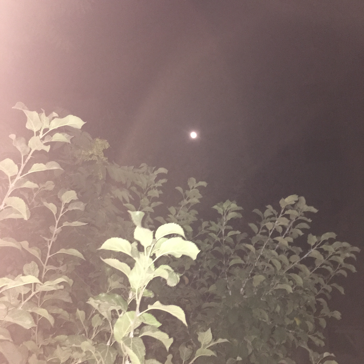 My Crowdsourcing Posts