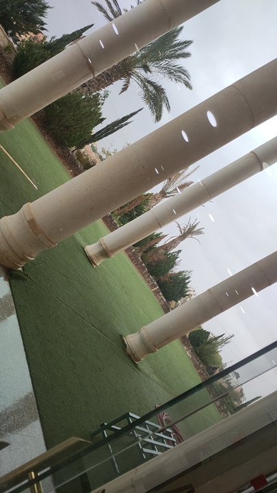 مشاركاتي في أنت الراصد