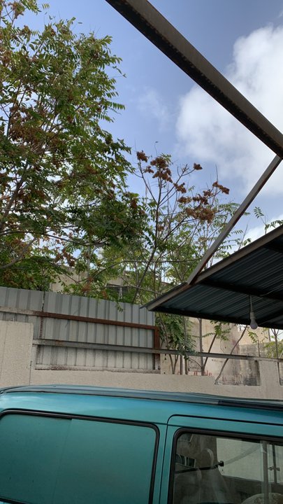 مشاركاتي في أنت الراصد