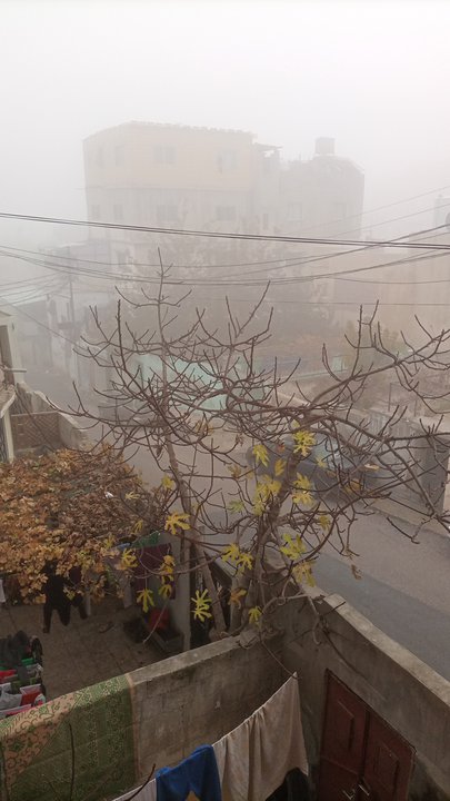 مشاركاتي في أنت الراصد