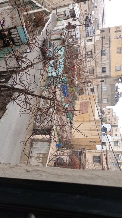 مشاركاتي في أنت الراصد