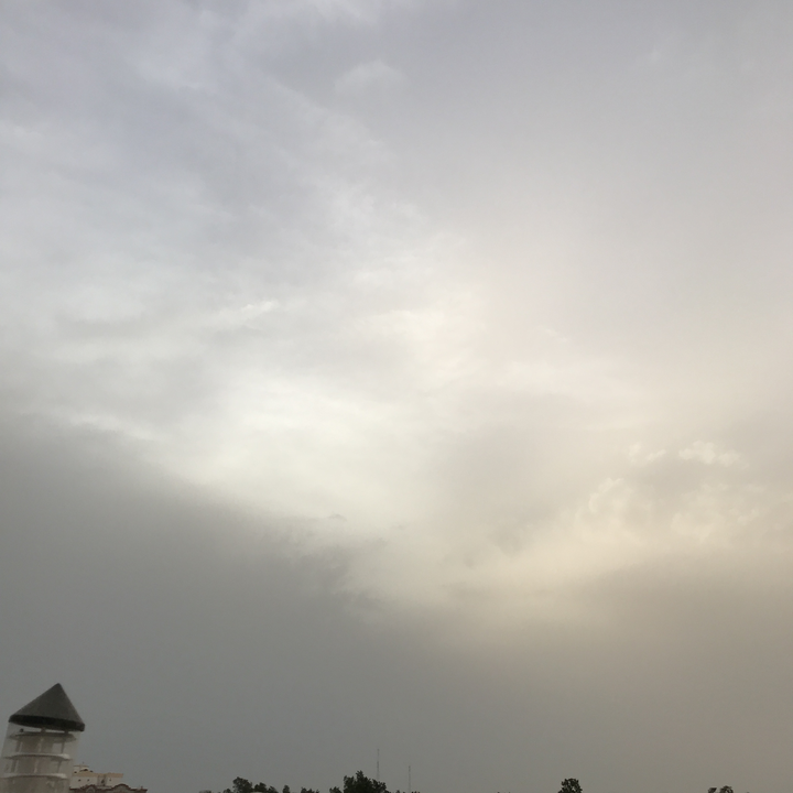 مشاركاتي في أنت الراصد