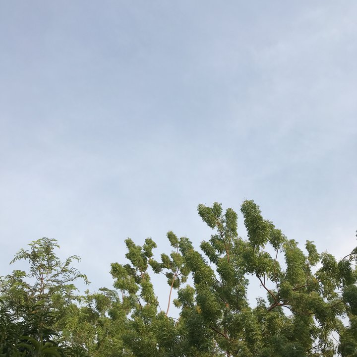 My Crowdsourcing Posts