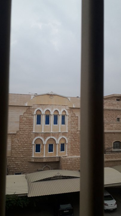 مشاركاتي في أنت الراصد