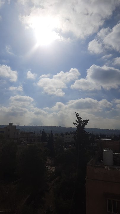 مشاركاتي في أنت الراصد