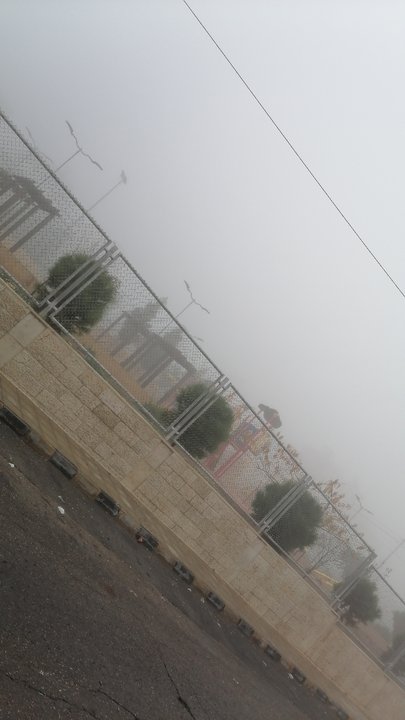 مشاركاتي في أنت الراصد