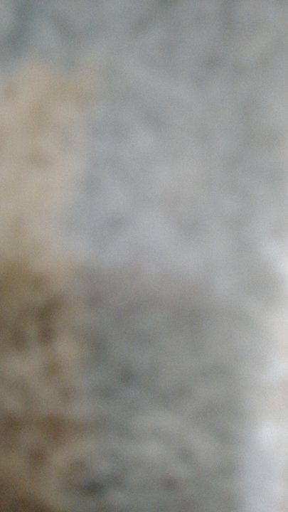 Mes publications Crowdsourcing