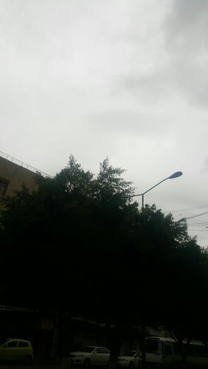 مشاركاتي في أنت الراصد