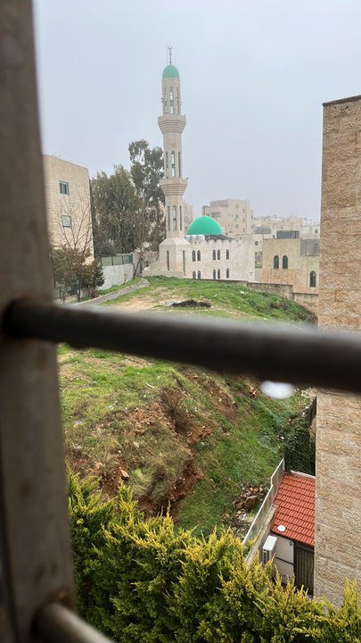 مشاركاتي في أنت الراصد