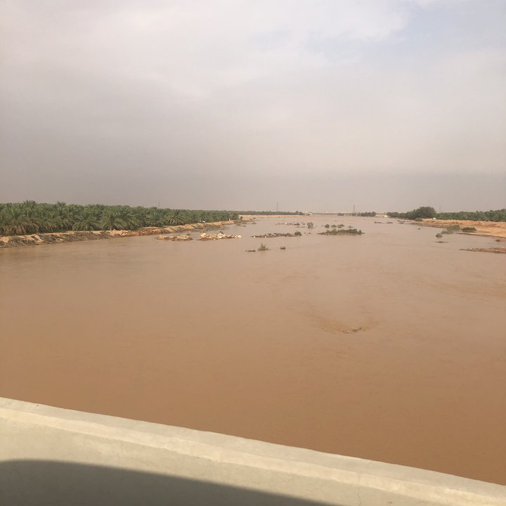 مشاركاتي في أنت الراصد