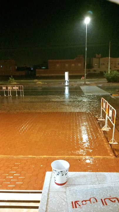 Mes publications Crowdsourcing