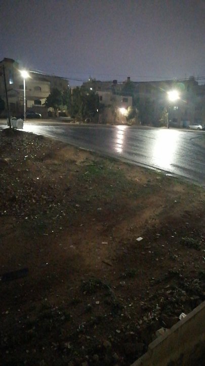 مشاركاتي في أنت الراصد