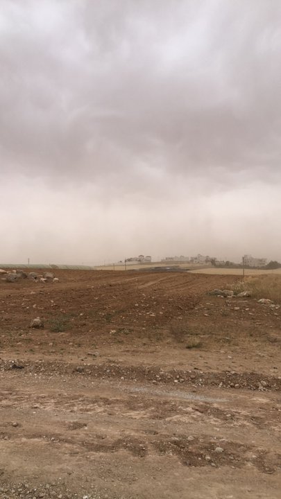 مشاركاتي في أنت الراصد