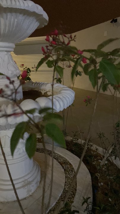 Mes publications Crowdsourcing