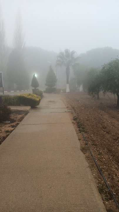 مشاركاتي في أنت الراصد