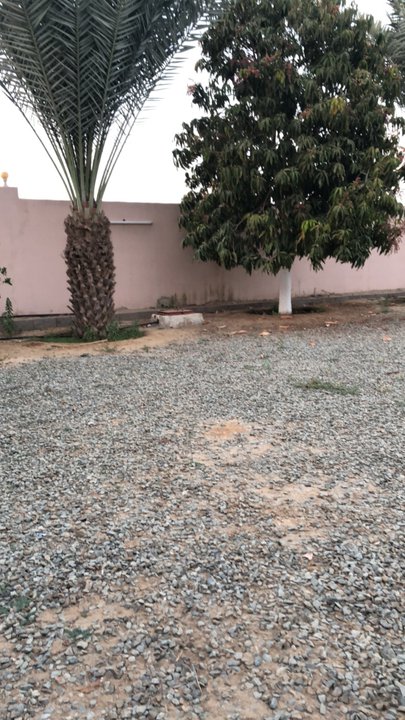 Mes publications Crowdsourcing