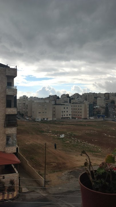 مشاركاتي في أنت الراصد