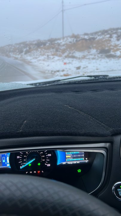 مشاركاتي في أنت الراصد