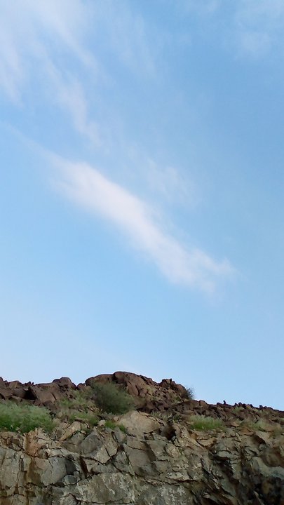 Mes publications Crowdsourcing