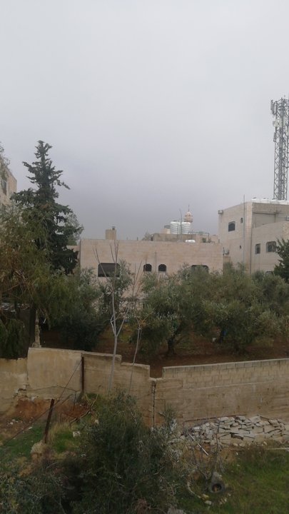 مشاركاتي في أنت الراصد