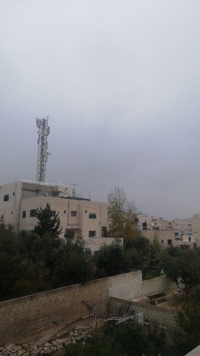 مشاركاتي في أنت الراصد