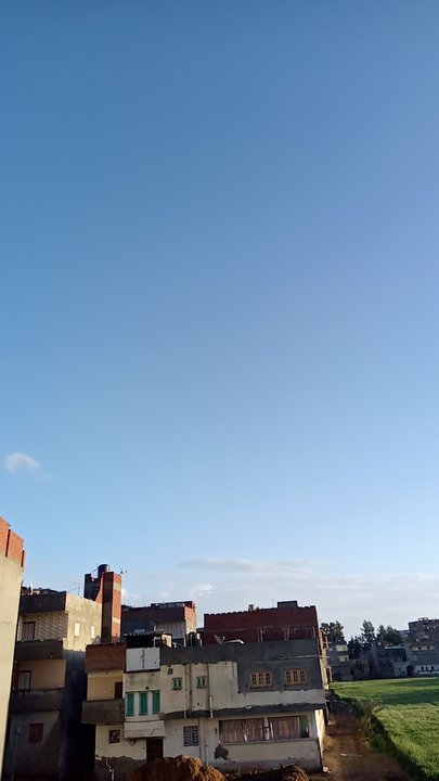 مشاركاتي في أنت الراصد