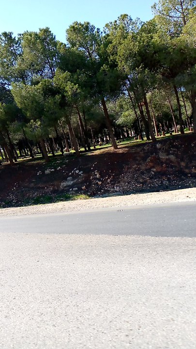 مشاركاتي في أنت الراصد