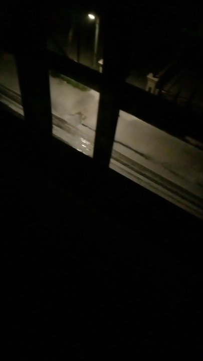 مشاركاتي في أنت الراصد