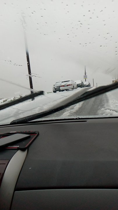 مشاركاتي في أنت الراصد