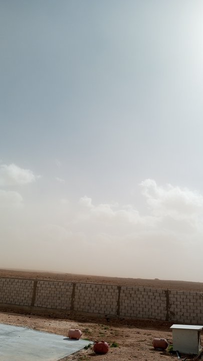 مشاركاتي في أنت الراصد