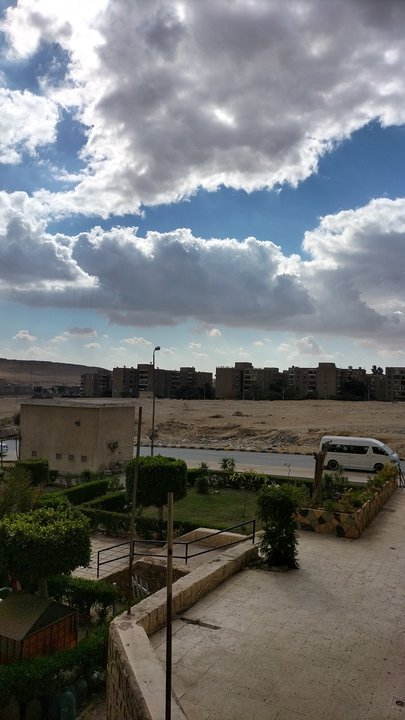 مشاركاتي في أنت الراصد