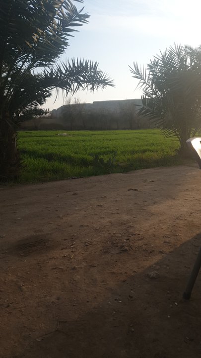 مشاركاتي في أنت الراصد