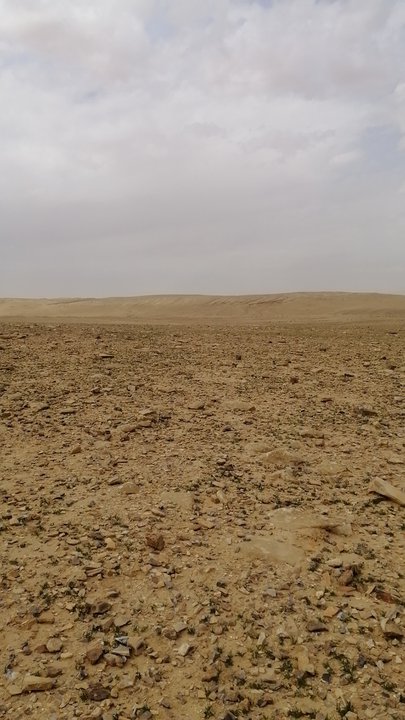 مشاركاتي في أنت الراصد