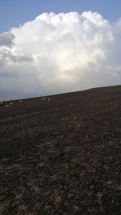 مشاركاتي في أنت الراصد