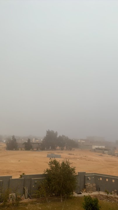 مشاركاتي في أنت الراصد