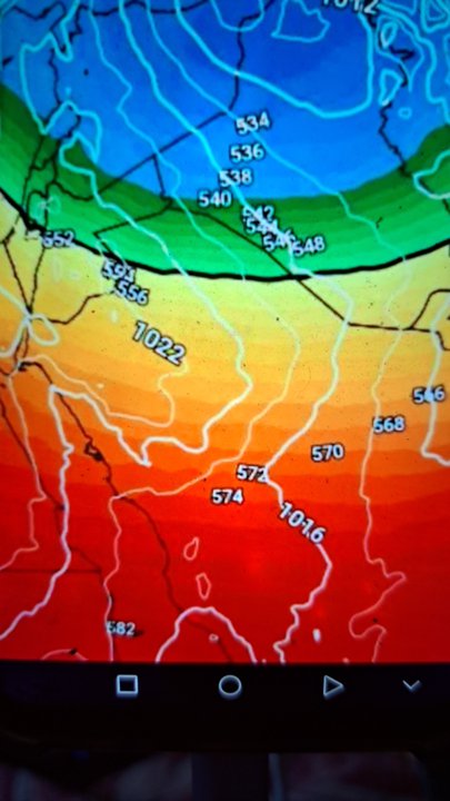 مشاركاتي في أنت الراصد