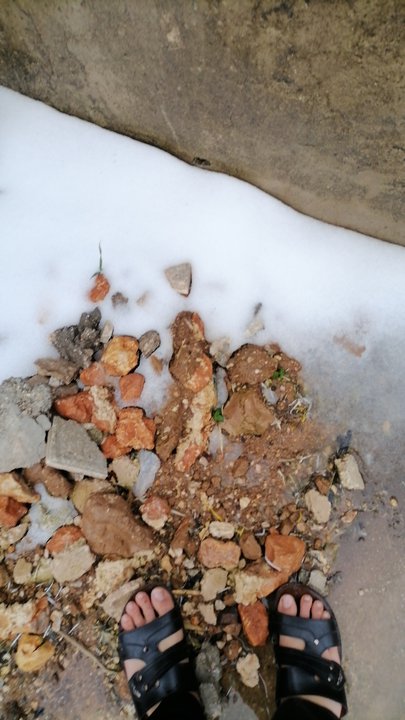 مشاركاتي في أنت الراصد