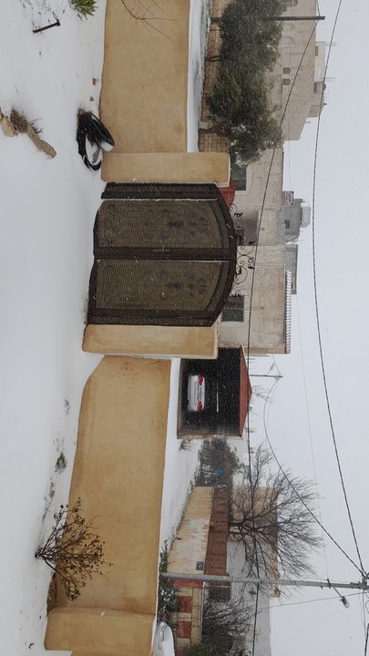 مشاركاتي في أنت الراصد