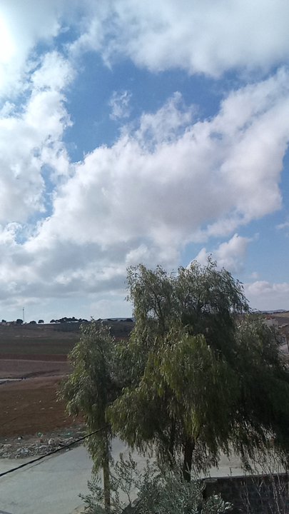 مشاركاتي في أنت الراصد