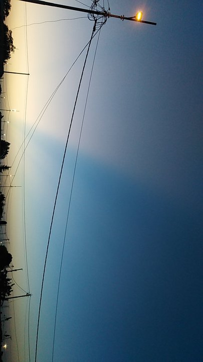 مشاركاتي في أنت الراصد