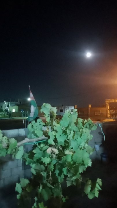 مشاركاتي في أنت الراصد