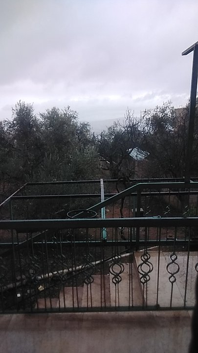 مشاركاتي في أنت الراصد