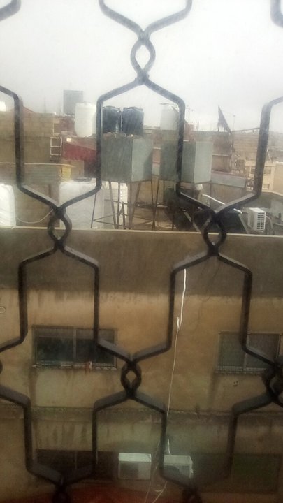 مشاركاتي في أنت الراصد