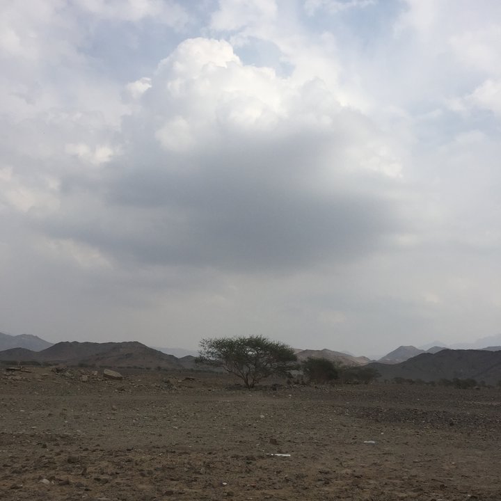 مشاركاتي في أنت الراصد