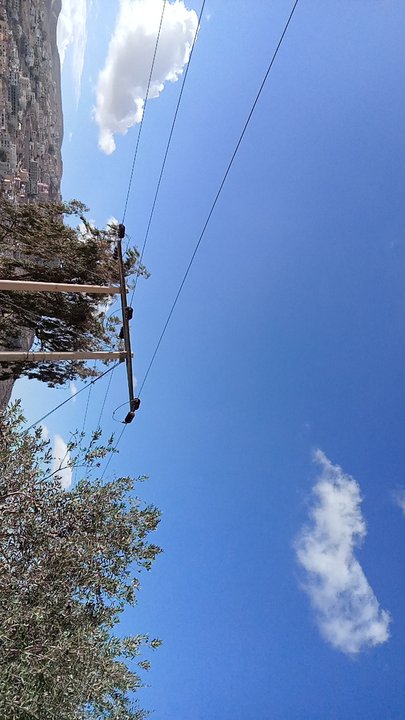 مشاركاتي في أنت الراصد