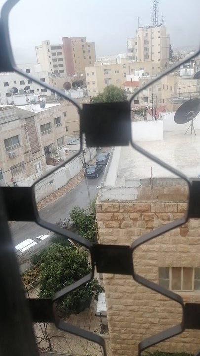 مشاركاتي في أنت الراصد