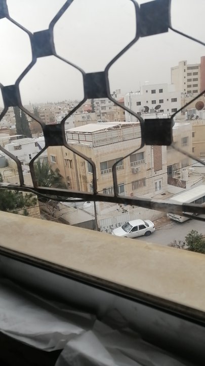 مشاركاتي في أنت الراصد